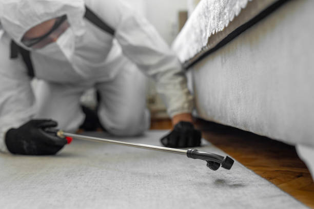 Professional Bed Bug Control technician working in Water Valley, MS