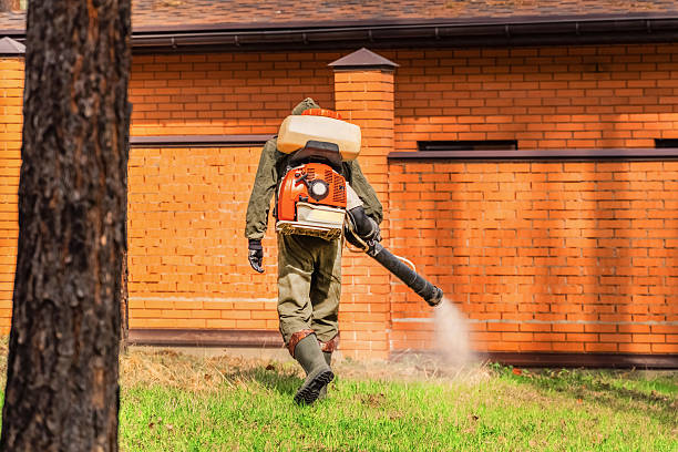 Trusted Termite Control service in Water Valley, MS - Nex Pest Control